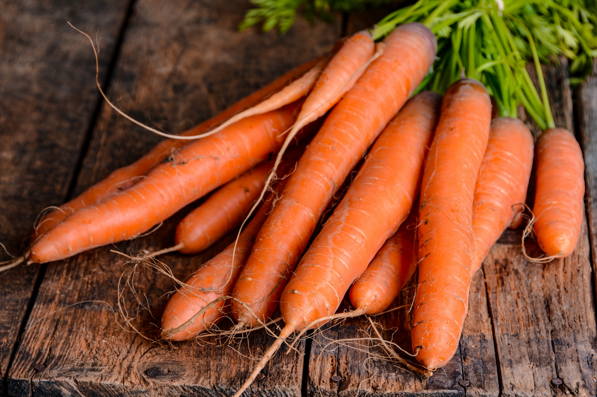 Fresh carrot