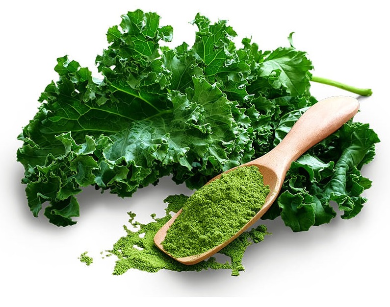 Kale powder benefits