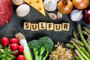 Sulphur Dioxide Free Dried Foods