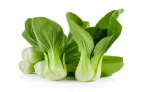 Dehydrated Bok Choy Flake, Dehydrated Green Cabbage