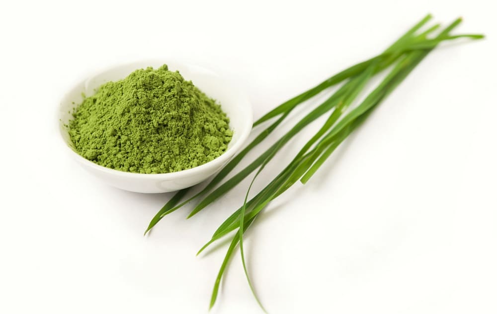 Barley Grass Powder, Wheat Grass Powder