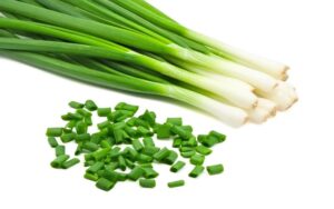 Dehydrated Chive Rings / Dried Chive Rings / Dried Chopped Chive