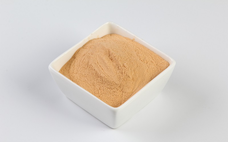 Dehydrated Carrot Powder, Dried Carrot Powder, Bulk Carrot Powder
