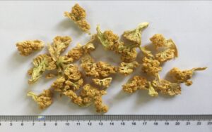 Dehydrated Cauliflower Flake / Dried Cauliflower Flake