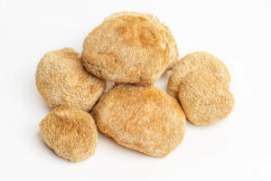 Dried Lion’s Mane Mushroom