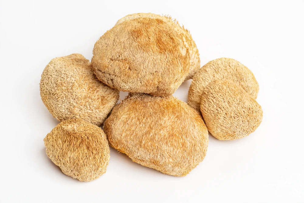 Dried Lion's Mane Mushroom