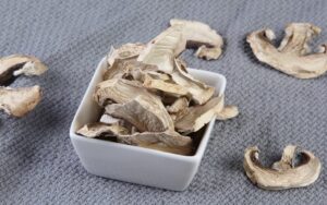 Dehydrated Champignon Mushrooms / Dried Champignon Mushrooms