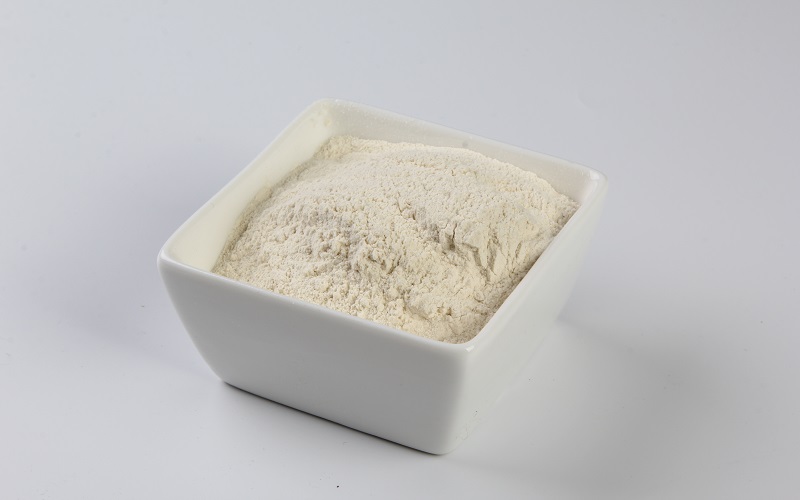 Dehydrated White Leek Powder, Dried White Leek Powder