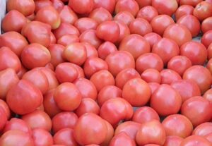 Spray Dried Tomato Powder, Tomato juice powder