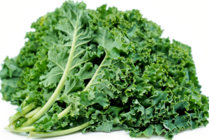 Kale Powder, Air Dried Kale Powder