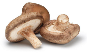 Dried Mushroom Powder, Shiitake Mushroom Powder