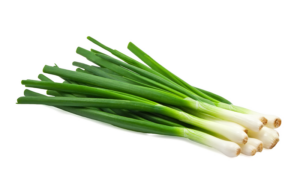 Dehydrated Spring Onion Ring / Dried Spring Onion Rolls