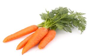 Dehydrated Carrot Flake, Dried Carrot Dice