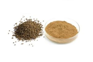 Celery seed powder, Ground celery seed?