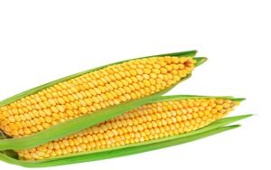 Freeze Dried Sweet Corn Whole Grain, Freeze Dried Corn Kernels